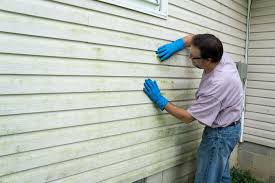 Best Siding Maintenance  in Acton, CA